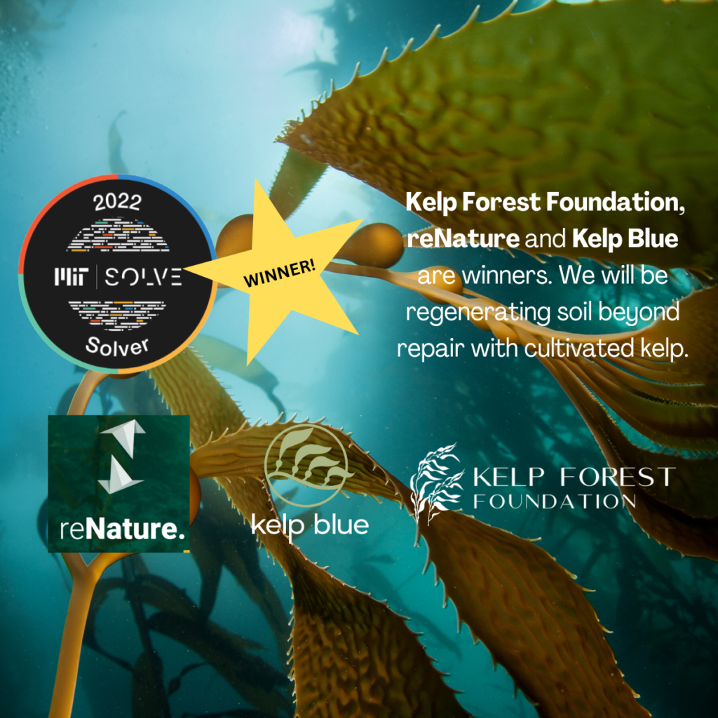 reNature, Kelp Blue and the Kelp Forest Foundation (2)