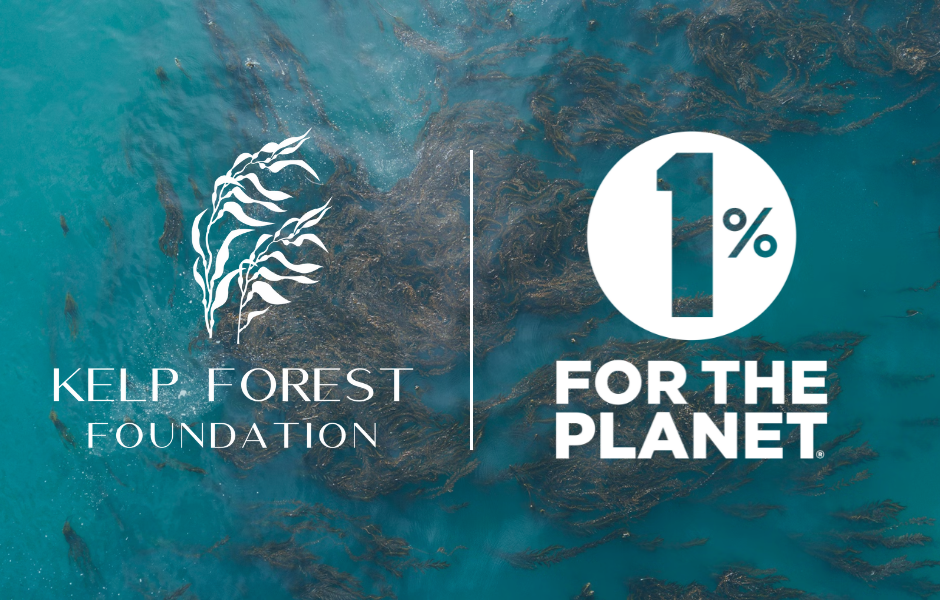 Kelp Forest Foundation joins 1% For The Planet as Environmental Partner